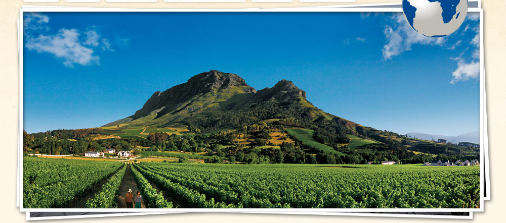 Cape Winelands Tour