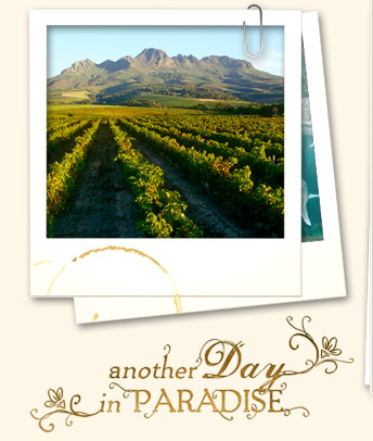 Cape Winelands